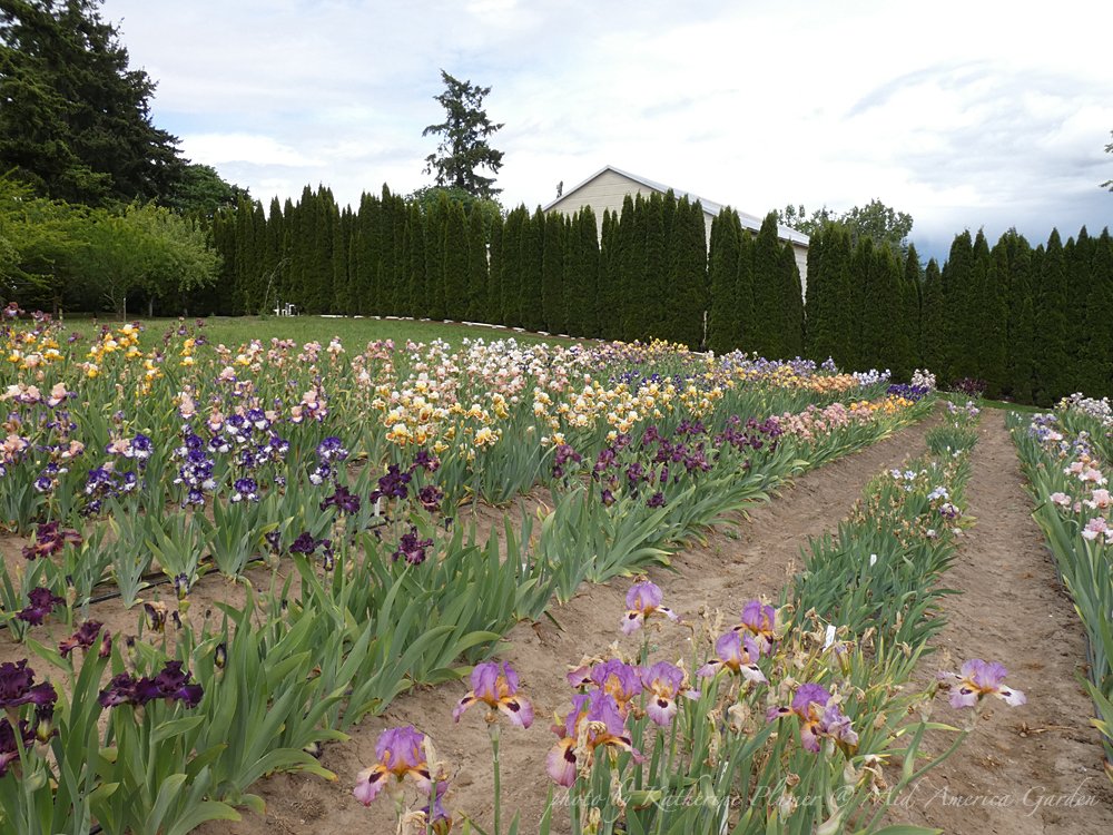 About Mid America Garden