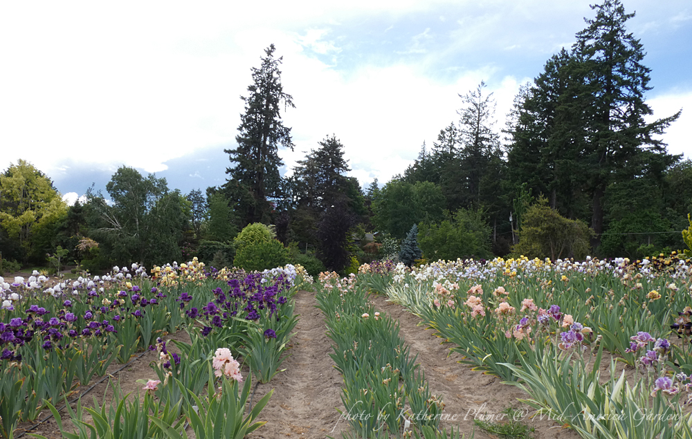 About Mid America Garden