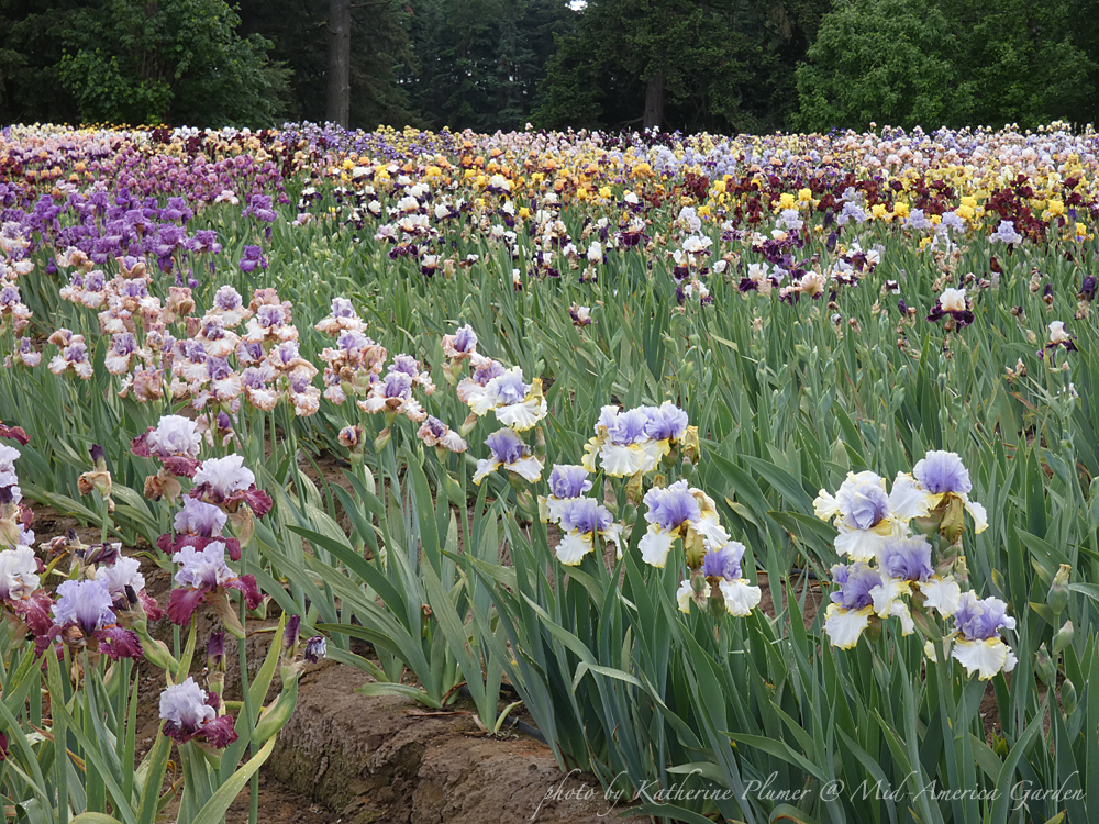 About Mid America Garden