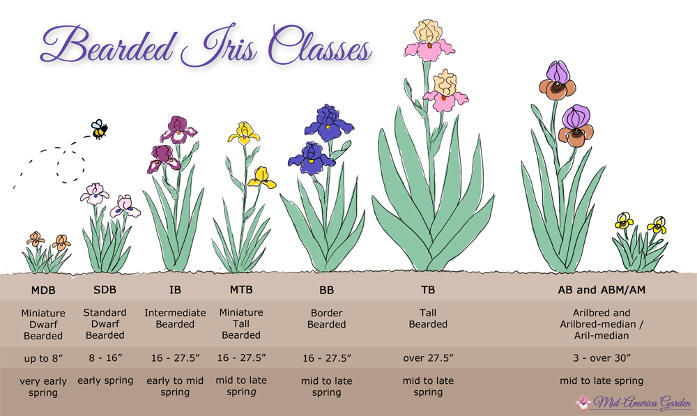 Symbols and Terminology MidAmerica Garden