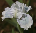 Touch Of Turquoise