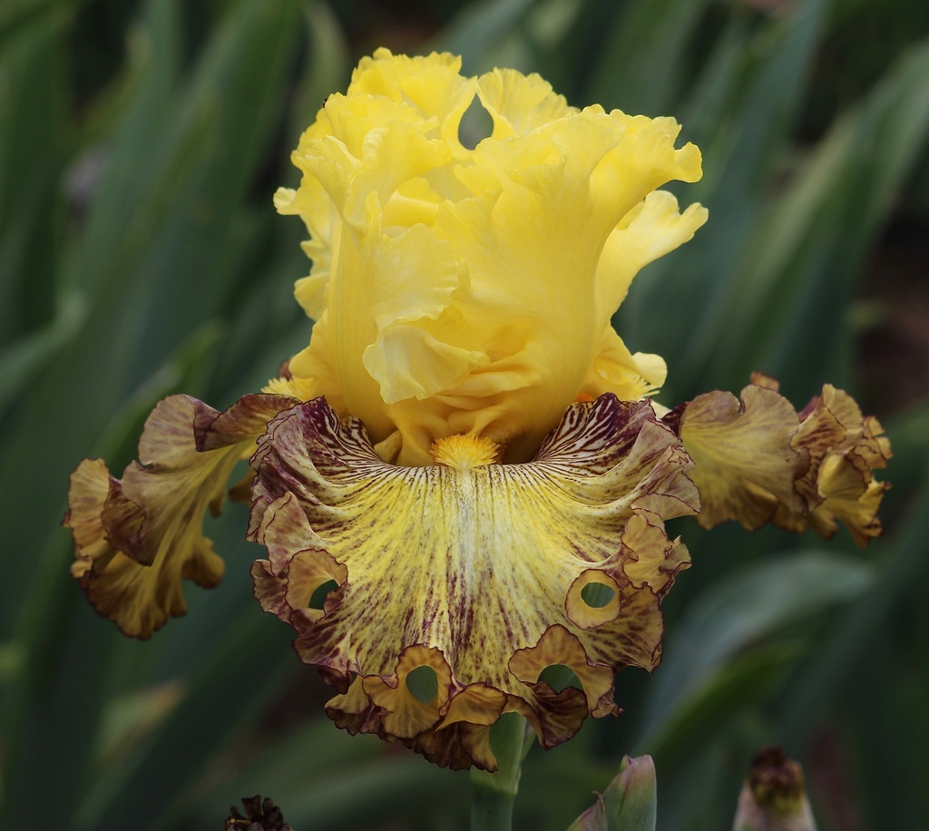 That's Entertainment