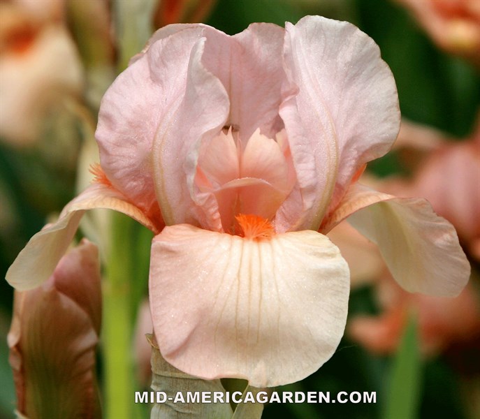 Long And Winding Road