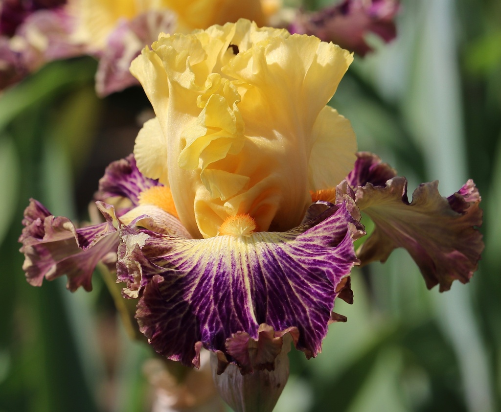 Dare To Be Different