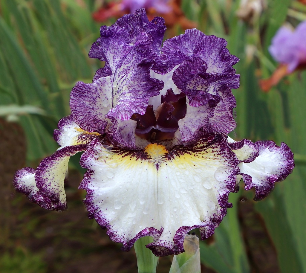 Random Acts Of Kindness