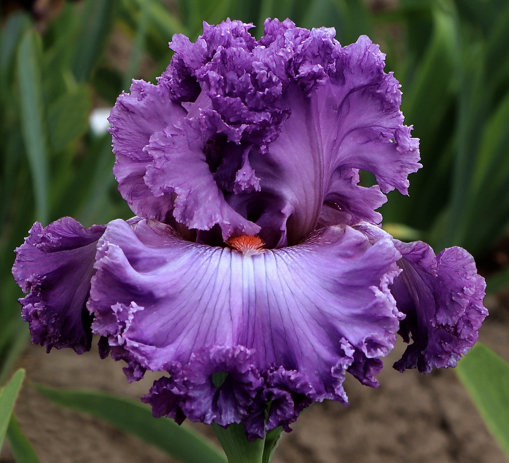 Picture Perfect Moment