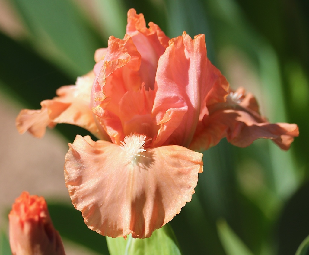 Yum