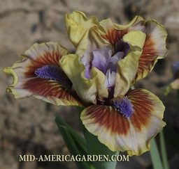 Shop | Mid-America Garden